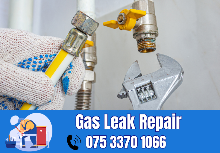 gas leak repair Faversham